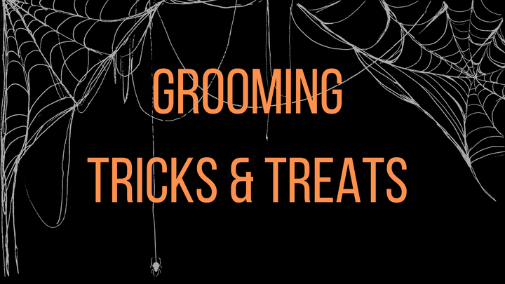 Grooming Tricks & Treats: A Halloween Special