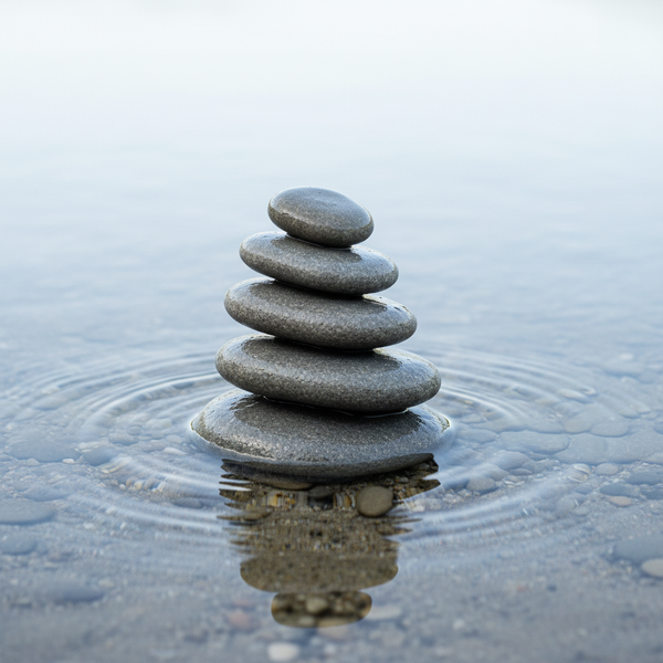 Unscented Grooming – Fragrance-Free Shave, Beard & Skin Care