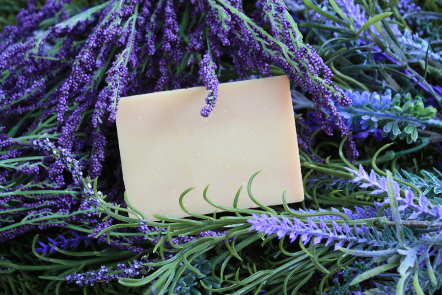 Castile Hand & Body Soap Bar, 100% Natural & Vegan, 4.5OZ