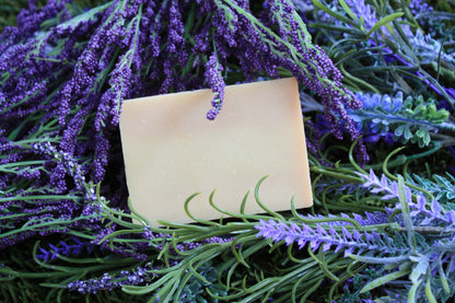 WSP The Maker’s Mystery Soap Bundle 1 Bar