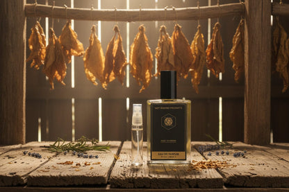 WSP Tobacco Eau de Parfum | Herbal, Crisp & Modern